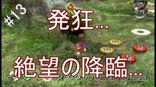 ピクミン#13 トドロ降臨　発狂します...