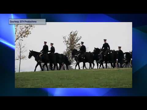 Sussex Shows Into The Light