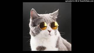 Vintage Culture Bros (Extended Mix)