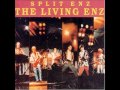 Split Enz - Time for a Change - Living Enz