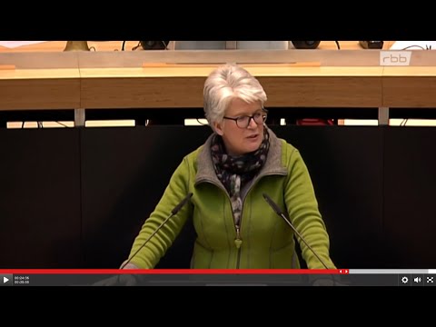 16.01.20 Rede Stefanie Remlinger (MdA Grüne) zur Verbeamtung Plenarsitzung Berliner Abgeordnetenhaus