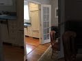 First Floor Single Pane Not Updated 30 Year Old Kitchen