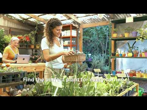 Videos from My Green Leaf