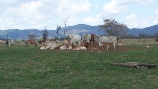 NMSU's Derek Bailey receives Fulbright to Australia