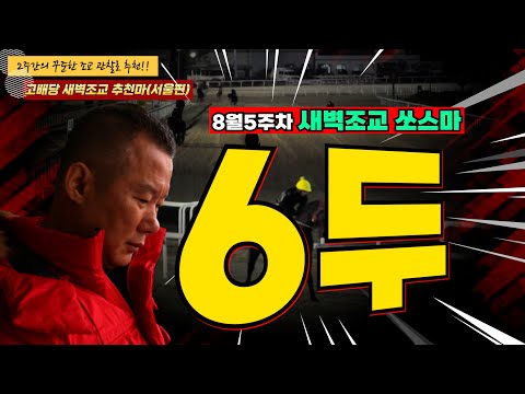 8/-30-31-강백호-야간경마 첫 시작을 알리는 8월의 월말경마!! 역시 배당주의보!! 2주간 훈련변화 보인 마필은