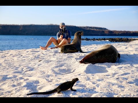 Cruise video 7