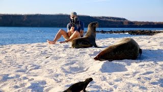 SHARKS, SEA LIONS, &amp; SUNSETS | Galapagos Cruise Day 5 - YouTube