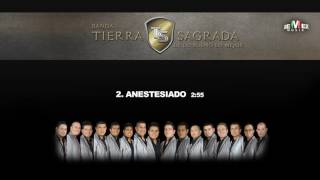 Anestesiado - Banda Tierra Sagrada (Audio Oficial)