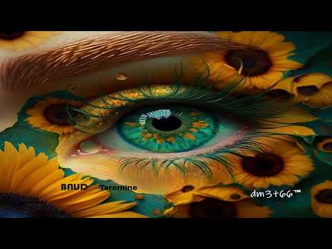 PREMIERE : BAUD - Taromine (Original Mix) [Print ID]