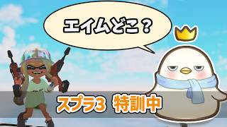 【スプラ3】ひよこ神ルルナ様、監視中。ぽんこつかいぬしの特訓【スプラトゥーン3】