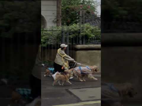 Eu minto pra quem perguntar