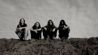 AMERICAN SPIRIT - Kiwi