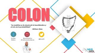 Anatomía - Colon (Ascendente, Trasnverso, Descendente, Sigmoideo)