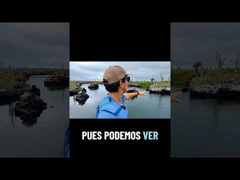 ¿Cómo se Formaron los Túneles en el mar de Isabela? 😳