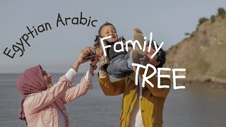 Egyptian Arabic Family tree (cousins)