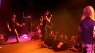 The Berzerker - Never Hated More