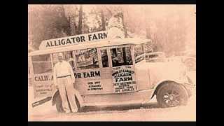 Alligator Farm
