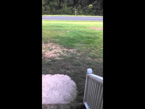 Did Avian-X Just Make The PERFECT SWIMMER??