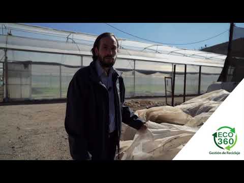 Gestión Industrial – ECO360