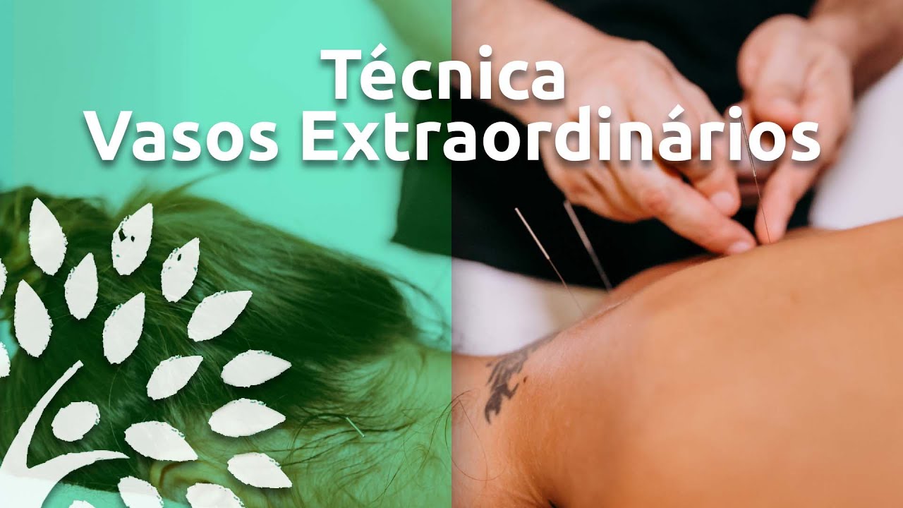 VASOS EXTRAORDINÁRIOS | VASOS MARAVILHOSOS - Técnicas de Acupuntura - Essência Acupuntura