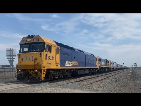 Up 7736V loaded Pacific National grain with BL31 X48 8168 at Gheringhap bound for Geelong 12/12/2023