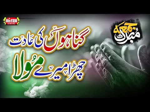 Owais Raza Qadri || Gunahon Ki Aadat Chura Mere Maula || Heart Touching Kalam || Heea Digital