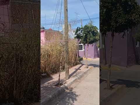 calle francisco y.madero de santa fe jalisco