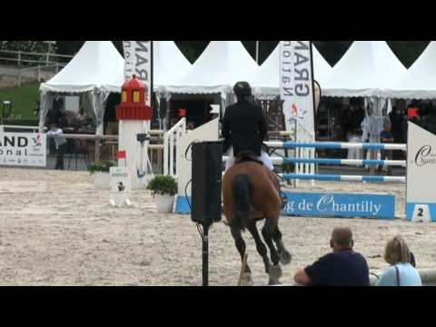 Stoerlee (Burggraaf)