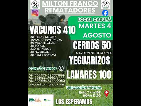 04/08/2026 Local Casupá - Florida - Feria mensual - Milton Franco | Clic Rural