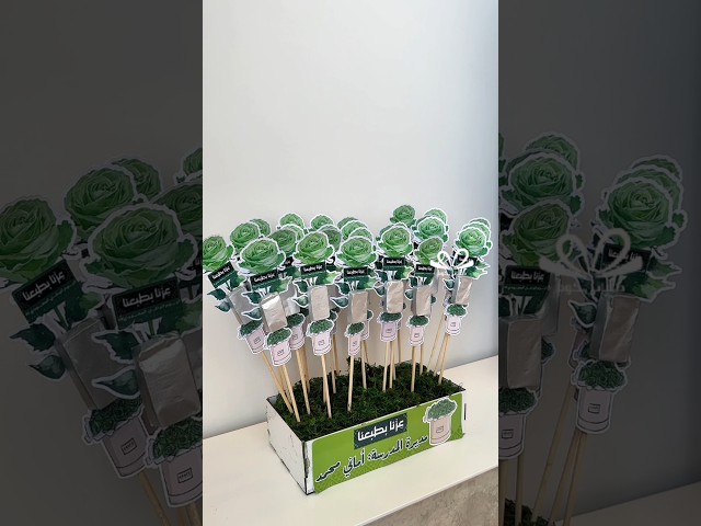 توزيعات شوكلت