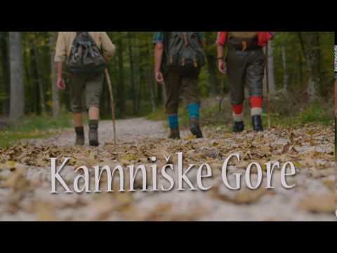 NAPOVEDNIK: ANSAMBEL BRATOV POLJANŠEK - KAMNIŠKE GORE