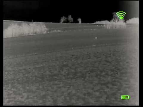 Wärmebildoptik Keiler-25, Video über Rot, Damm, Rehwild und Fuchs