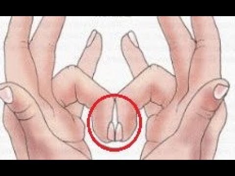 Seperti mencium leher gadis itu yang akan membangkitkan dia Apa yang membuat krim untuk pembesaran penis
