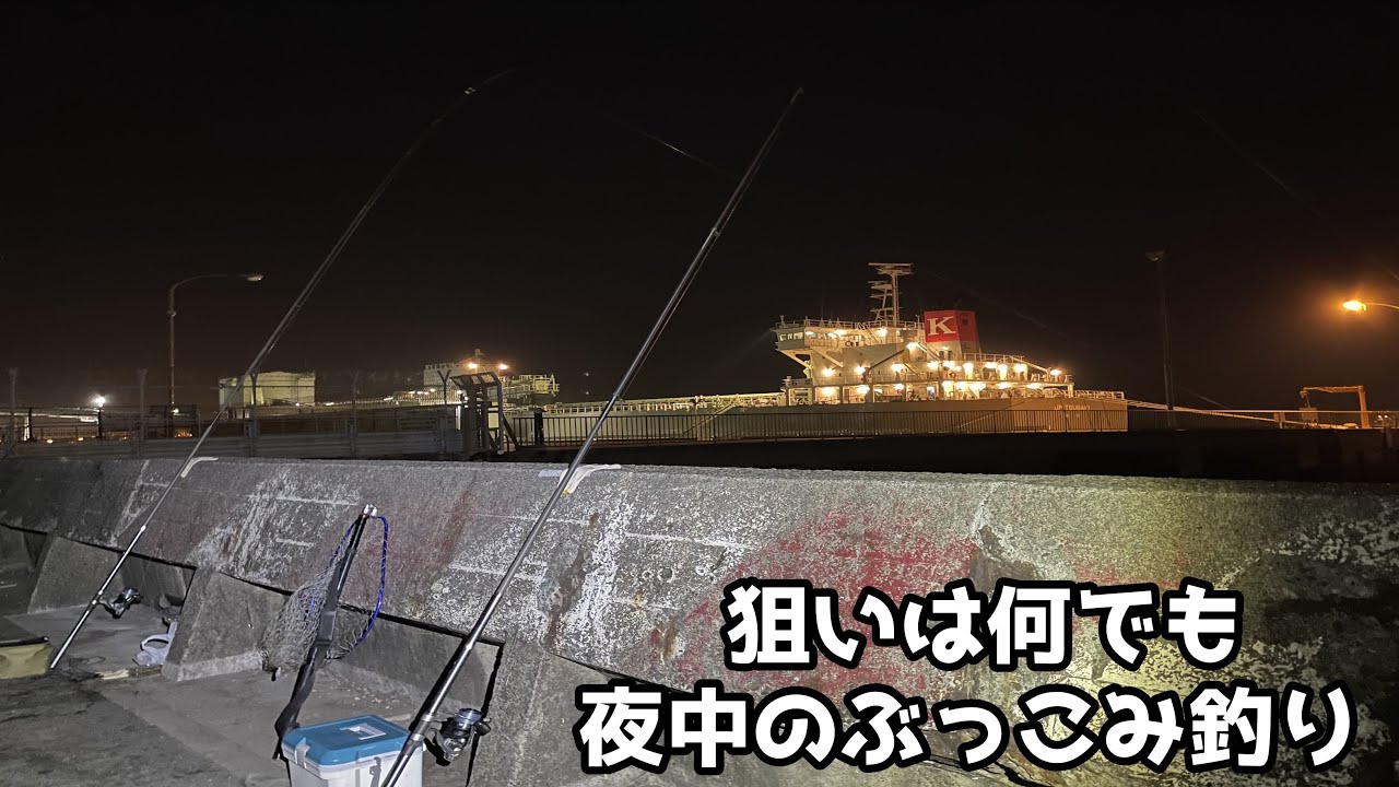 狙いは何でも 夜中のぶっ込み釣り