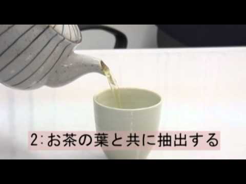 経営情報学科 お茶プラス　シソの葉