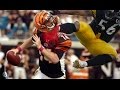 Steelers Destroy the Bengals!!! Pittsburgh || 2016-2017 || Pumpup