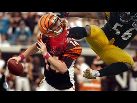Steelers Destroy the Bengals!!! Pittsburgh || 2016-2017 || Pumpup