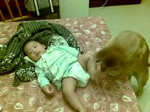 大貴哄弟弟篇...(原發表者:大貴媽)(影片)