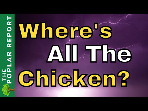 Walmart & Aldi Empty Shelves This Week |  Food Shortage Report