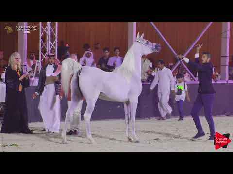 87 HANAYA RAFIQAH   Gulf SE Cup 2018