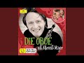 Die Oboe Als Ente