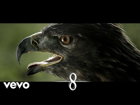 Through Infinity - The Sight Of An Eagle (Official video)