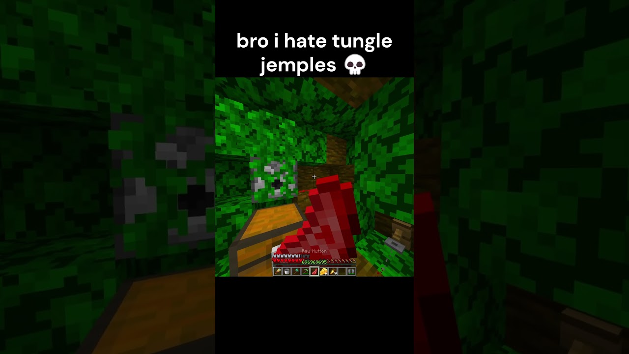 Do Not Check The Sound 💀 #minecraft #shorts #memes