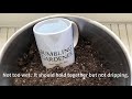 Winter Sowing Annuals in Under 3 Minutes