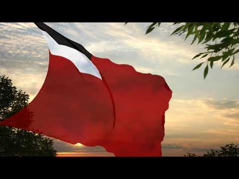 National Anthem of Georgia (1990 2004) — New Japan Philharmonic Orchestra & Seiji Ozawa