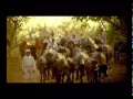 Gujarat Tourism Ad Gir Forest Hindi