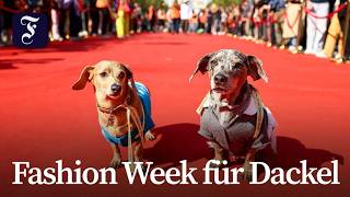 „Sausage Walk“ auf Pariser Champs-Élysées