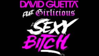 David Guetta ft Girlicious Sexy Bitch