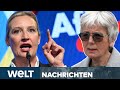 DEUTSCHLAND Brandmauer Ist Gefallen Antrag Der Grünen Erhält Mehrheit Durch AfD WELT STREAM