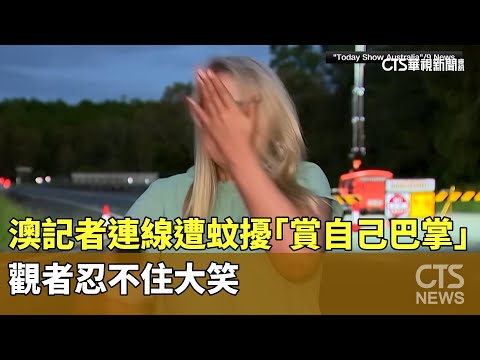連線遭蚊擾　澳女記者「賞自己巴掌」　觀者忍不住大笑
